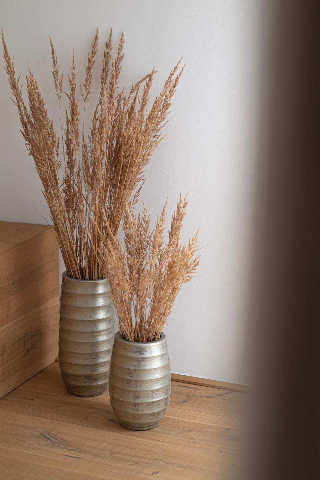 סנט יוהן אים פונגאו Zederberg Appartements מראה חיצוני תמונה